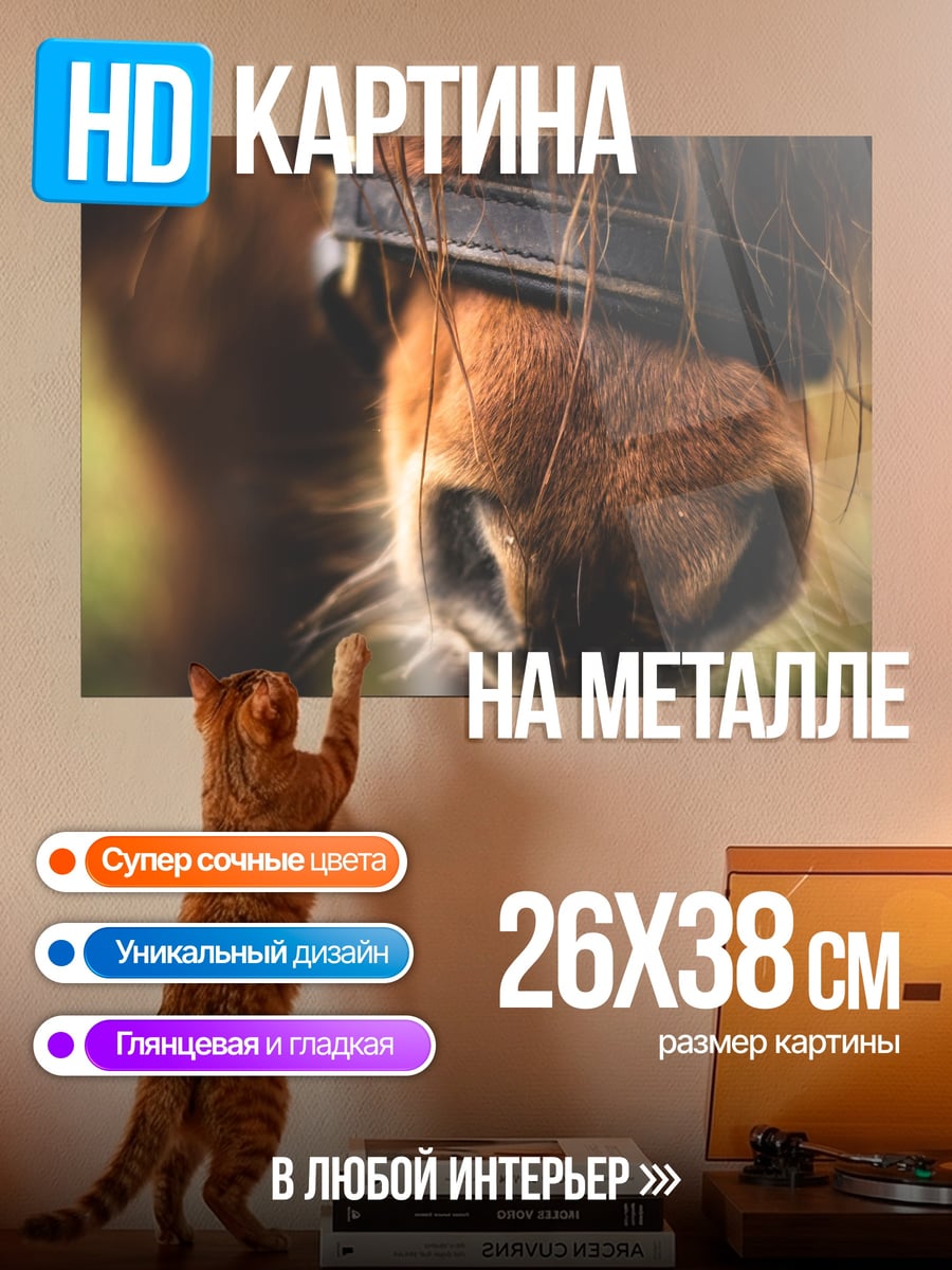 Картина на металле Крупный план морды лошади