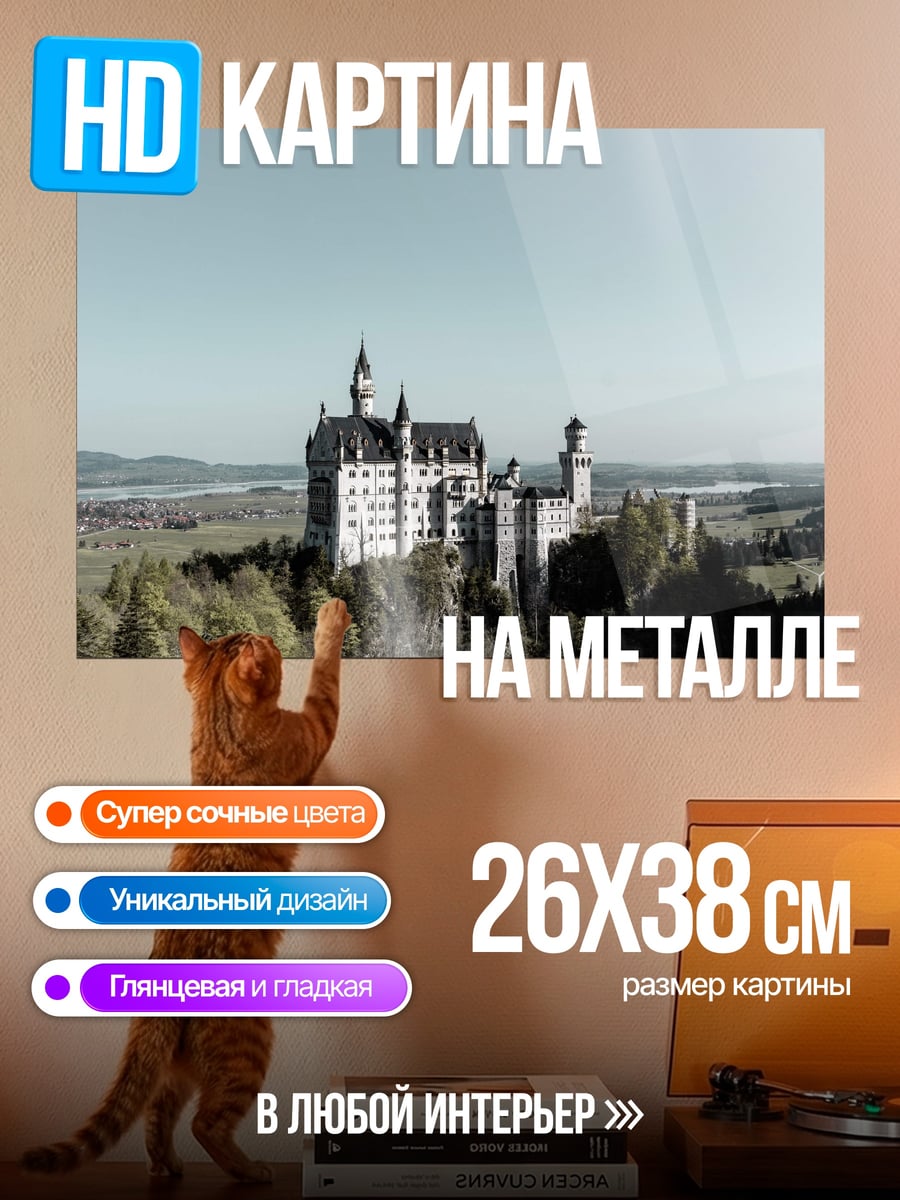 Картина на металле Замок на горе
