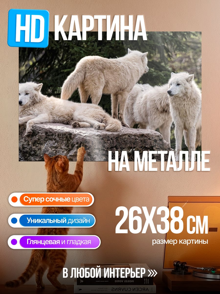 Картина на металле стая белых волков