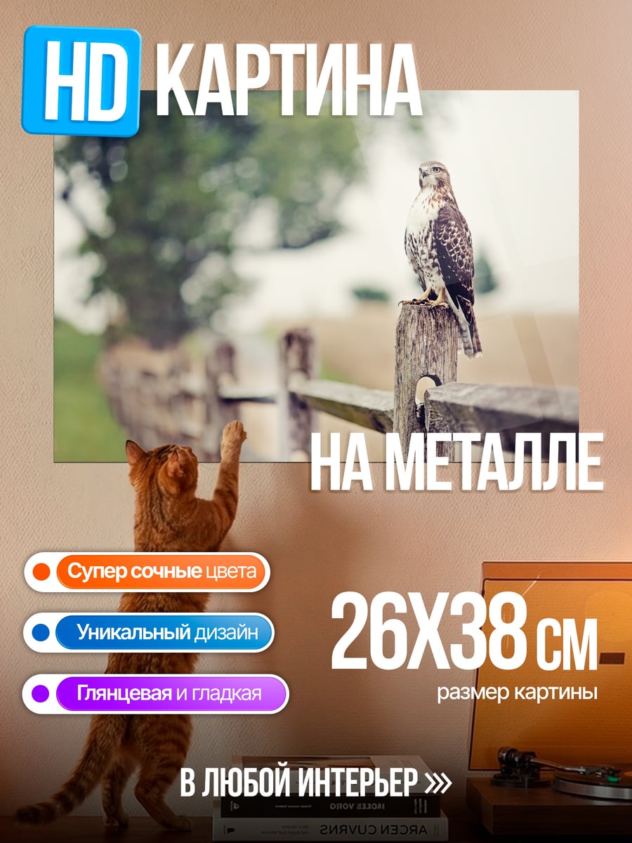 Картина на металле ястреб на заборе