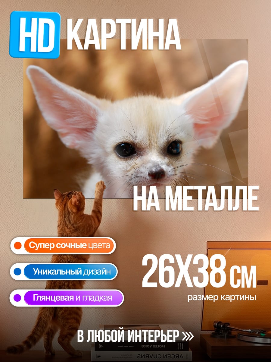 Картина на металле Пустынный лис фенек