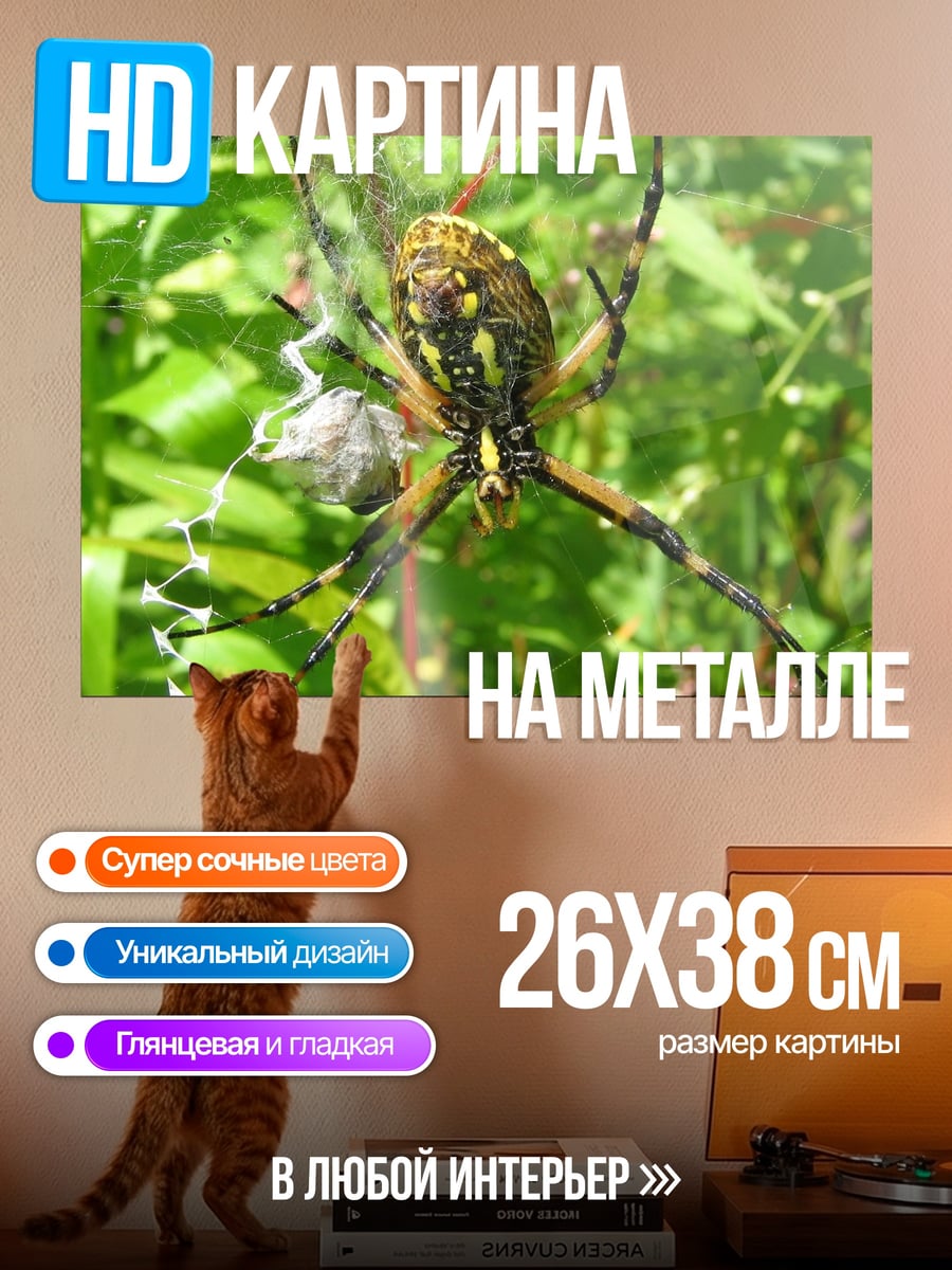 Картина на металле Паук на паутине