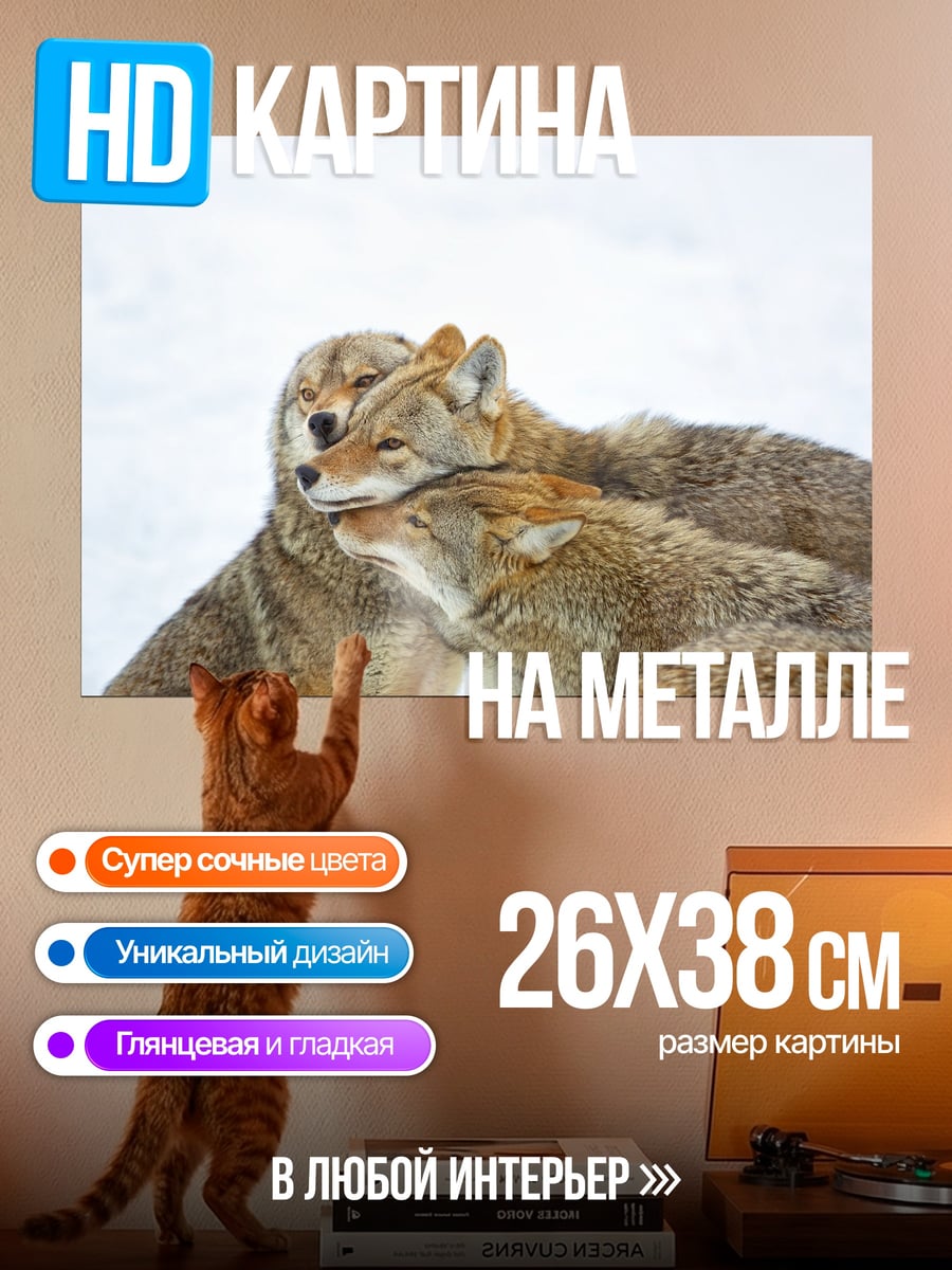 Картина на металле три койота в снегу