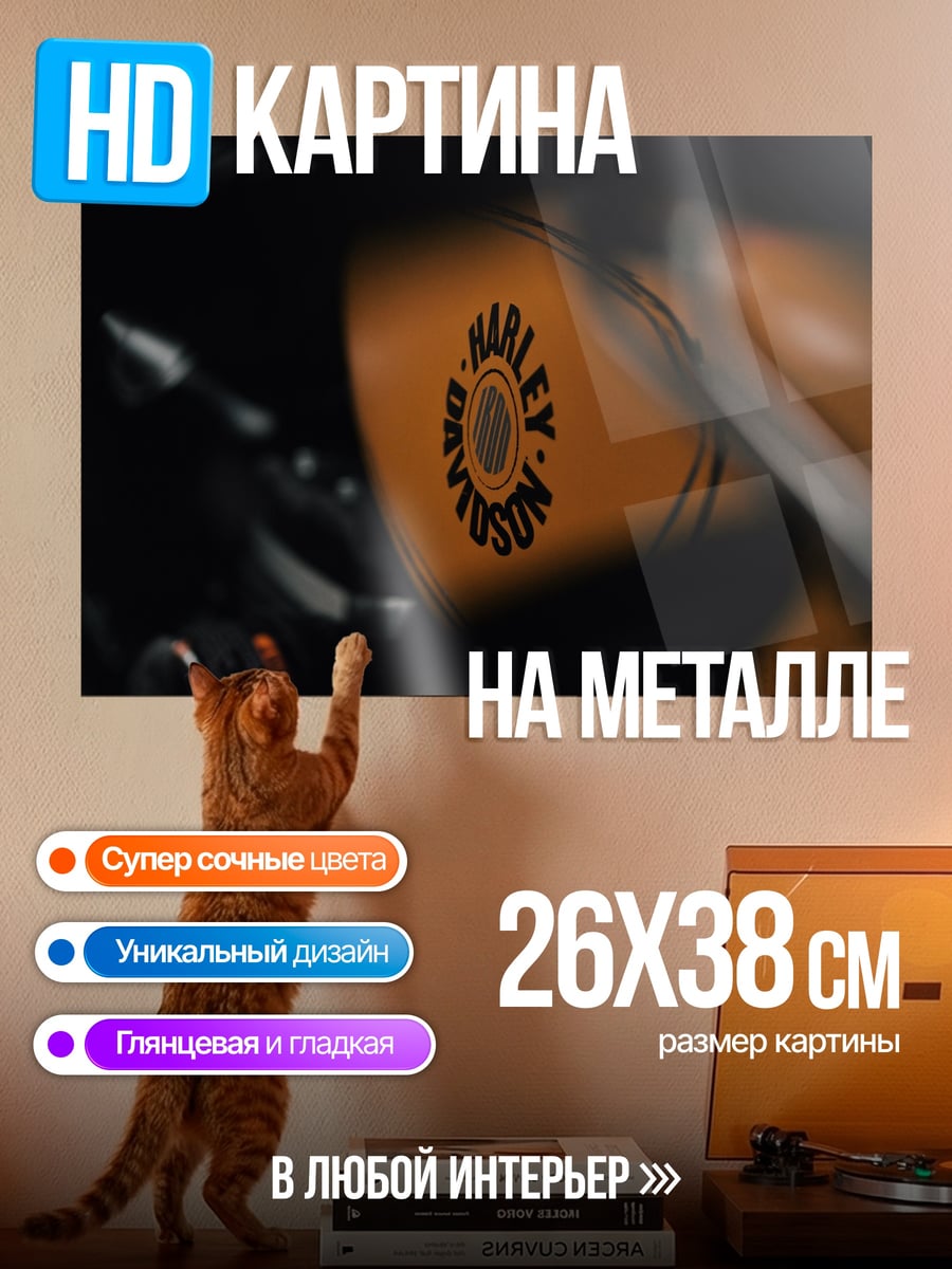 Картина на металле Harley Davidson
