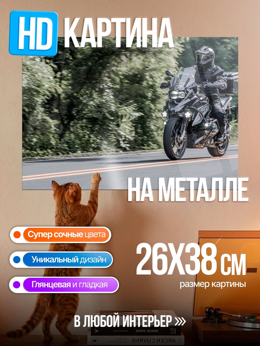 Картина на металле Мотоциклист в лесу