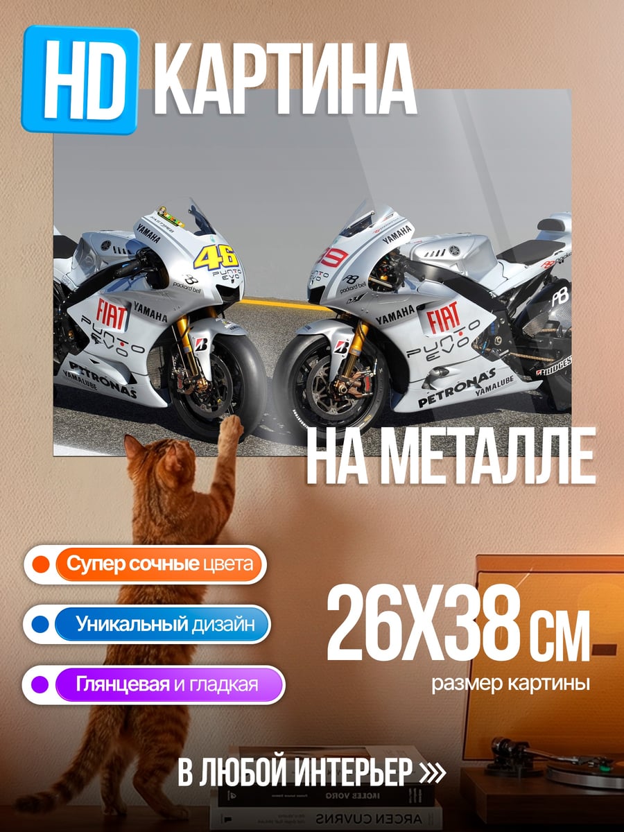 Картина на металле Два мотоцикла