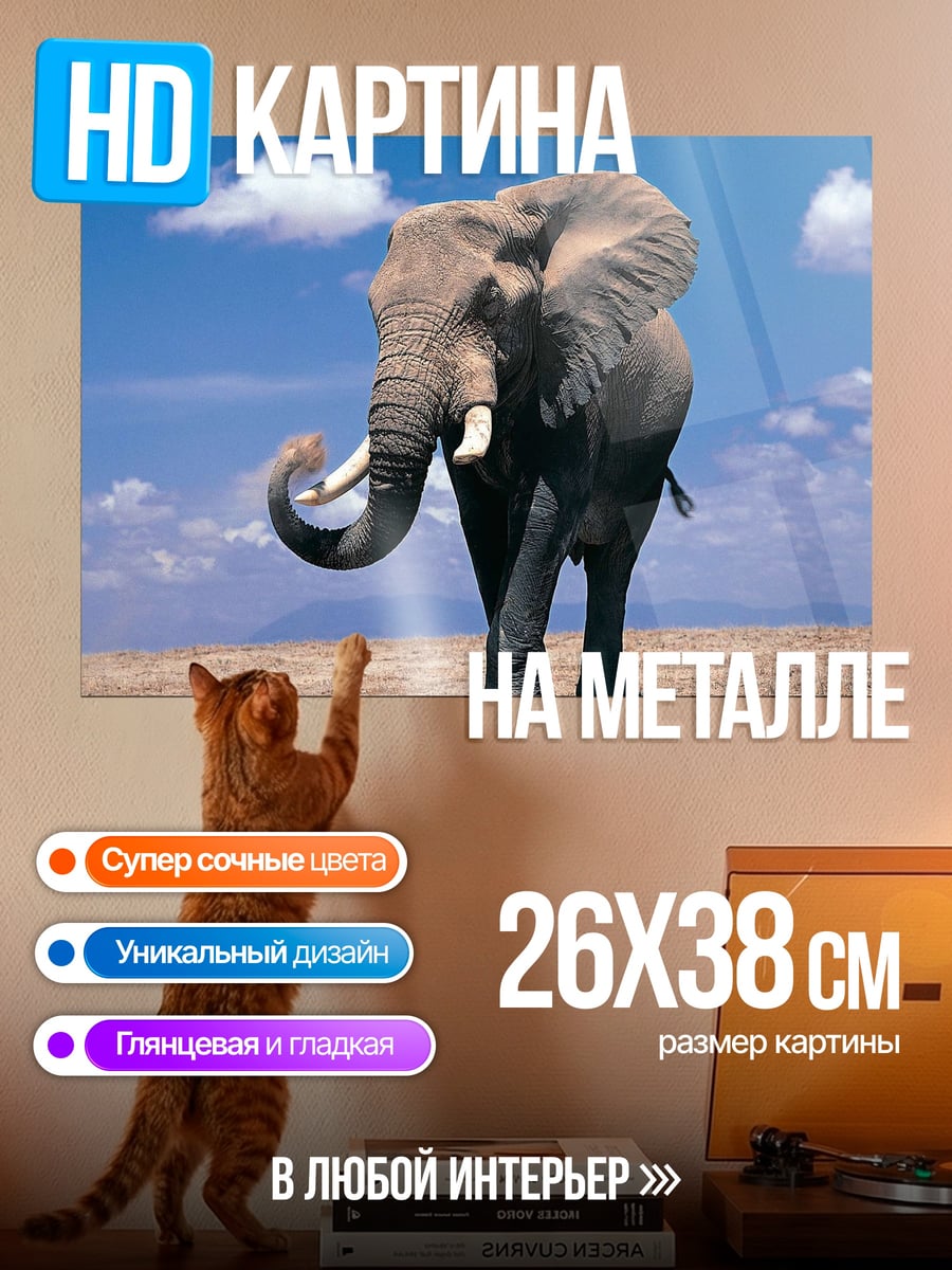 Картина на металле Африканский слон