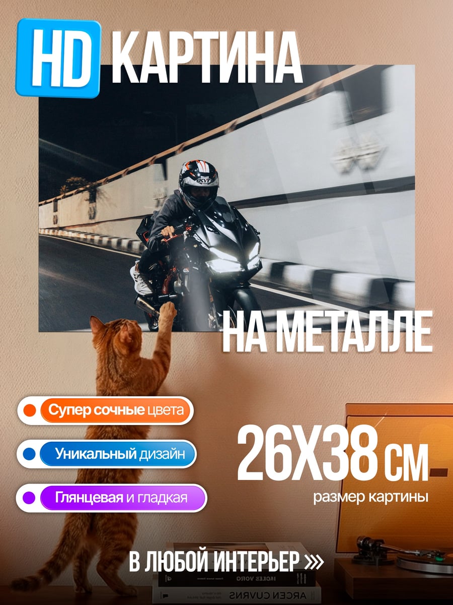 Картина на металле Ночной гонщик в туннеле