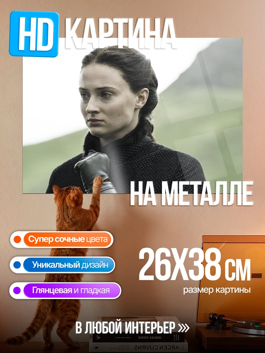 Картина на металле Санса Старк