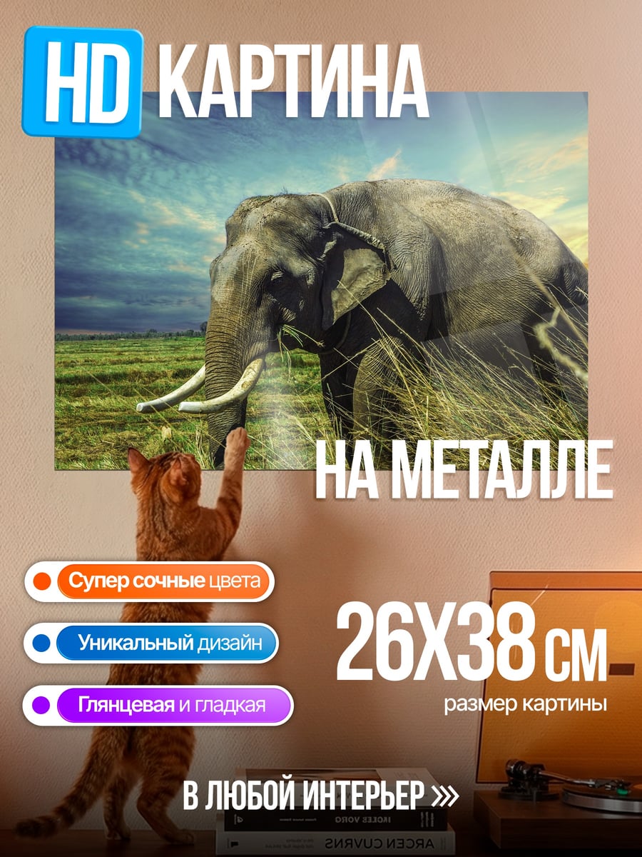 Картина на металле Слон на закате