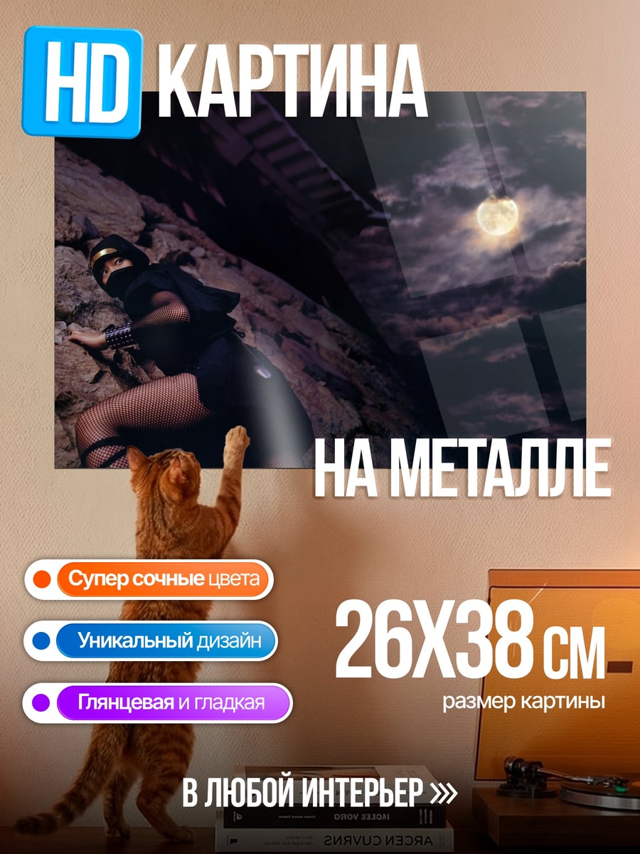 Картина на металле девушка ниндзя ночью