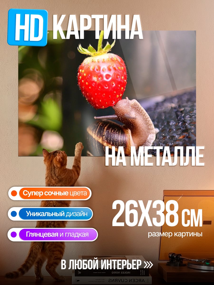 Картина на металле Улитка с клубникой