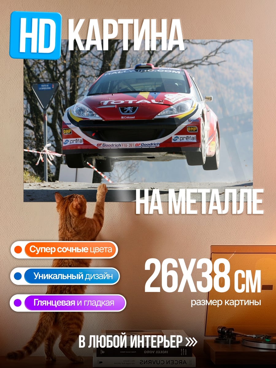 Картина на металле Ралли машина в воздухе