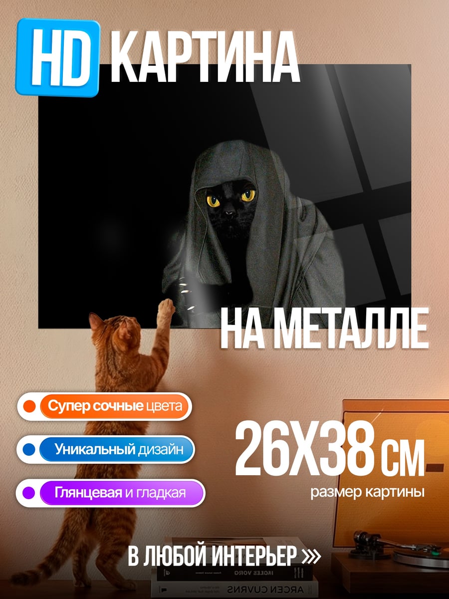 Картина на металле Черный кот в капюшоне