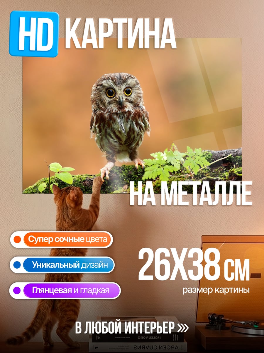 Картина на металле Маленькая сова на ветке