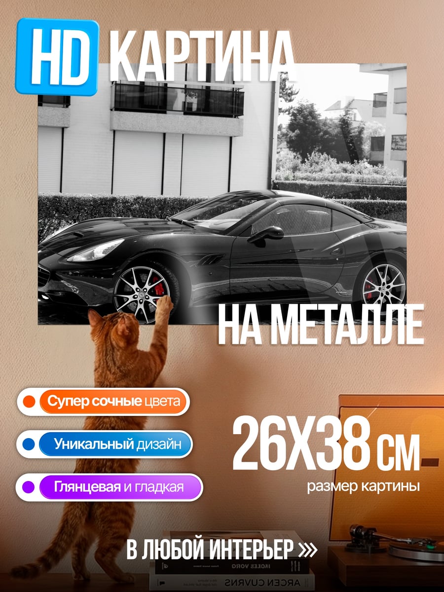 Картина на металле Черный спорткар у дома