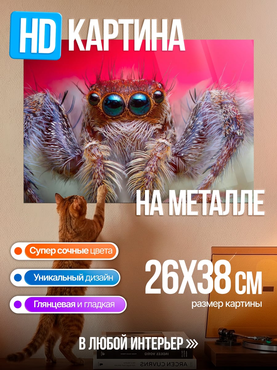 Картина на металле паук-скакун крупным планом