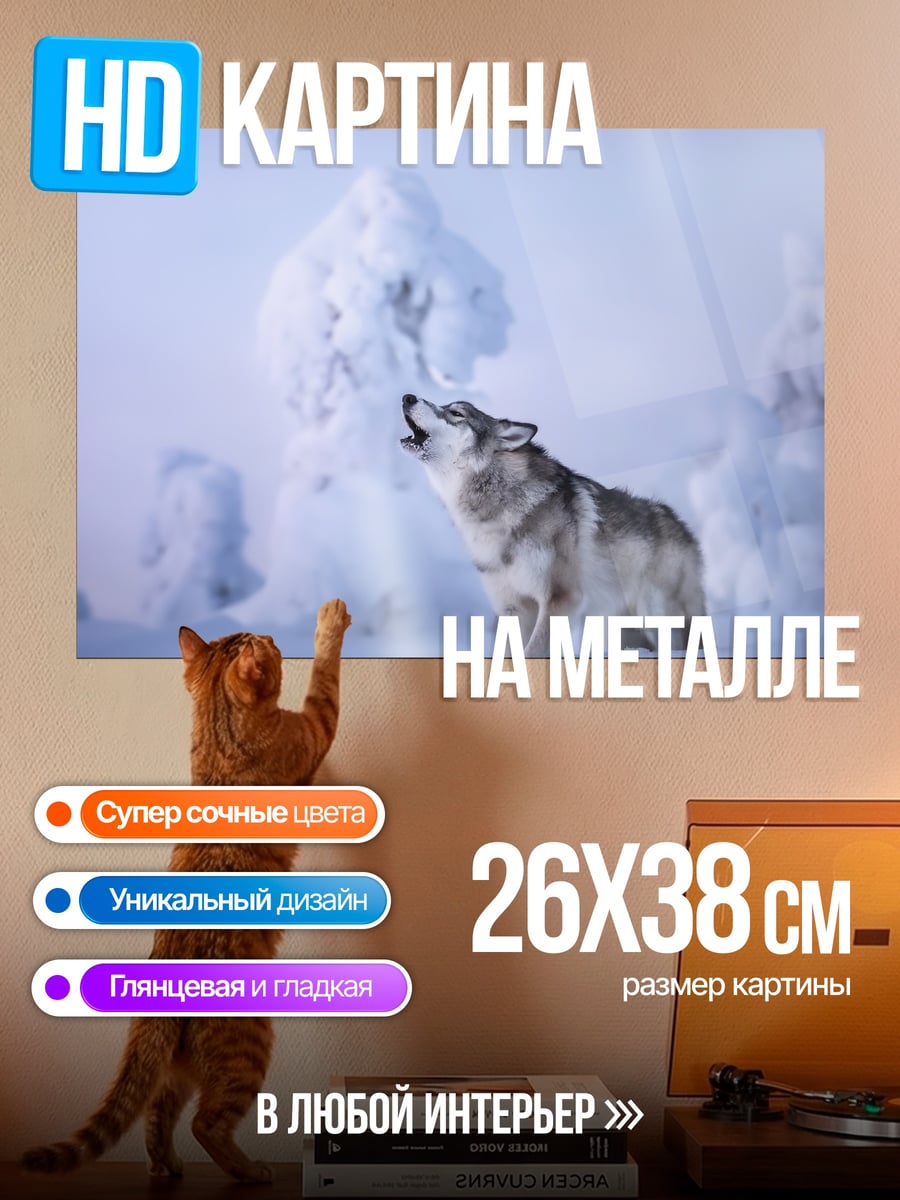 Картина на металле Воющий волк в снегах