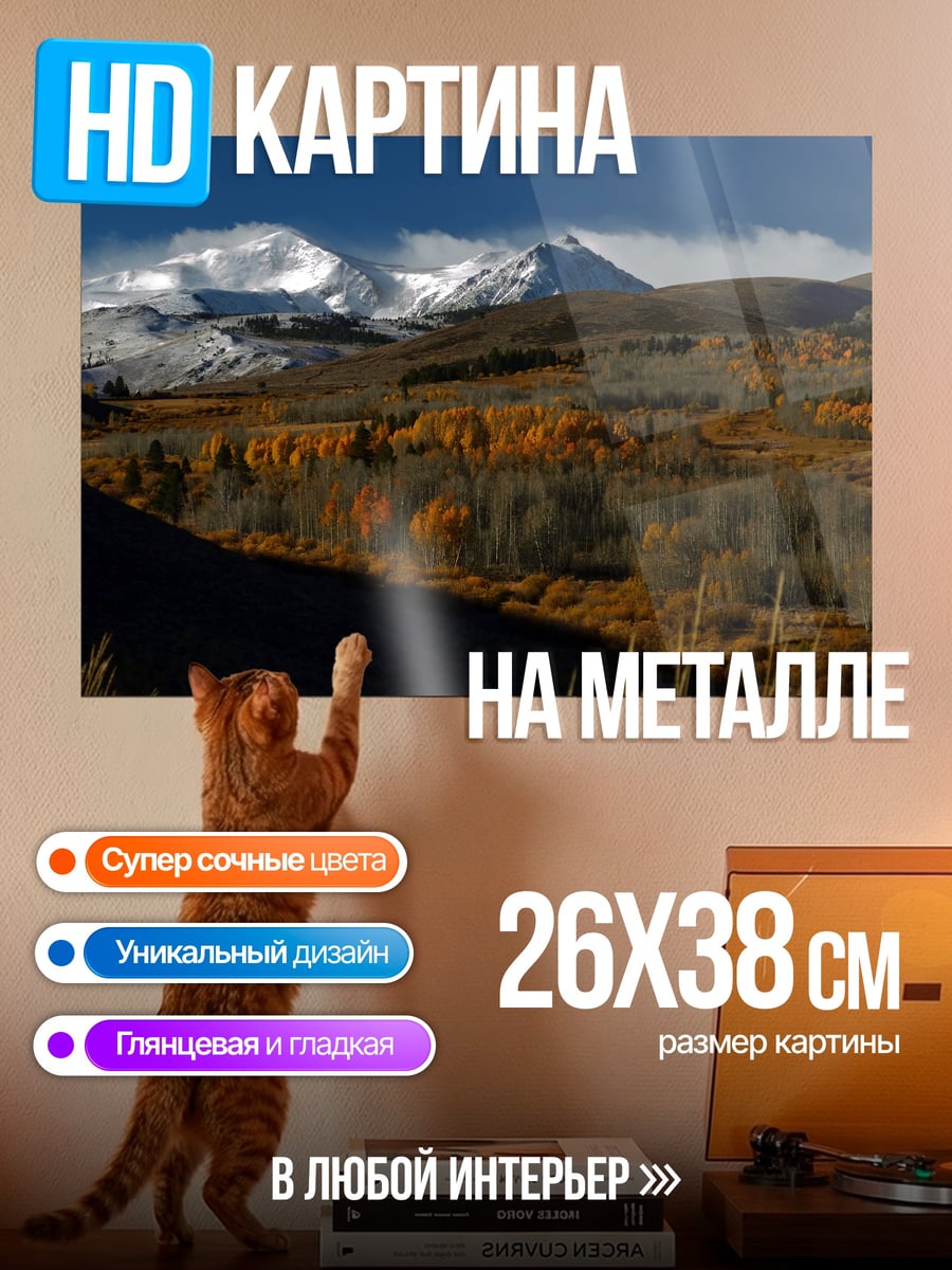 Картина на металле Осенние горы и лес