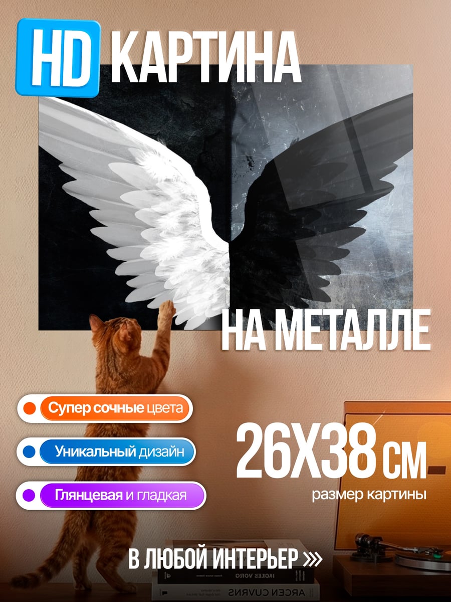 Картина на металле Черно-белые крылья
