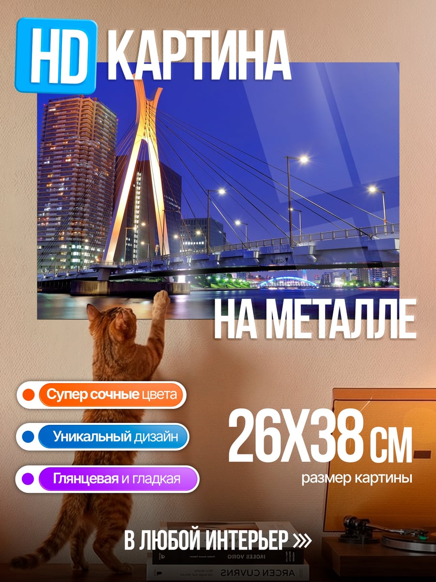 Картина на металле Токийский мост ночью