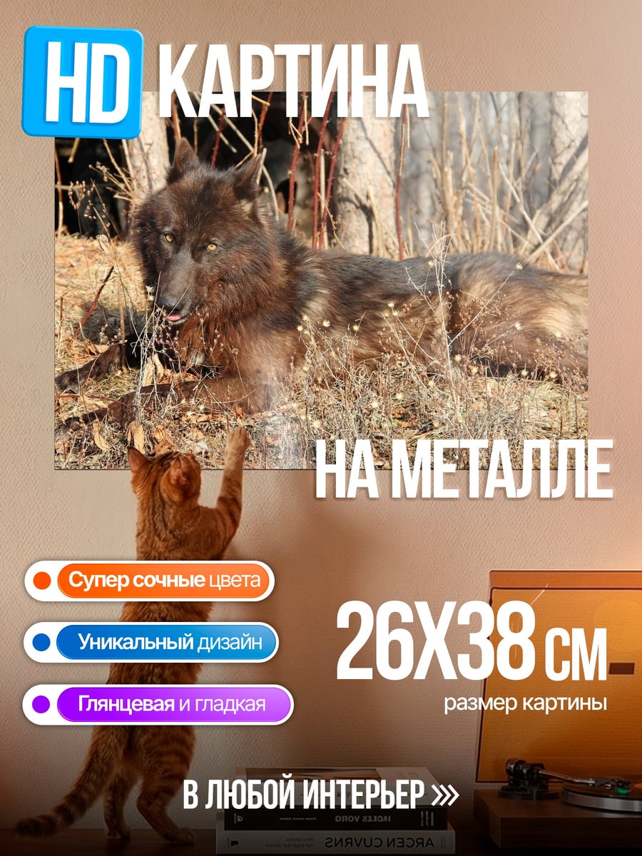 Картина на металле Черный волк в лесу