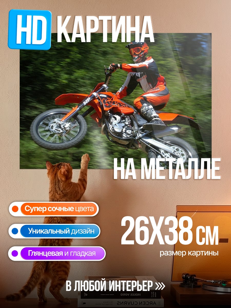 Картина на металле мотоциклист в прыжке