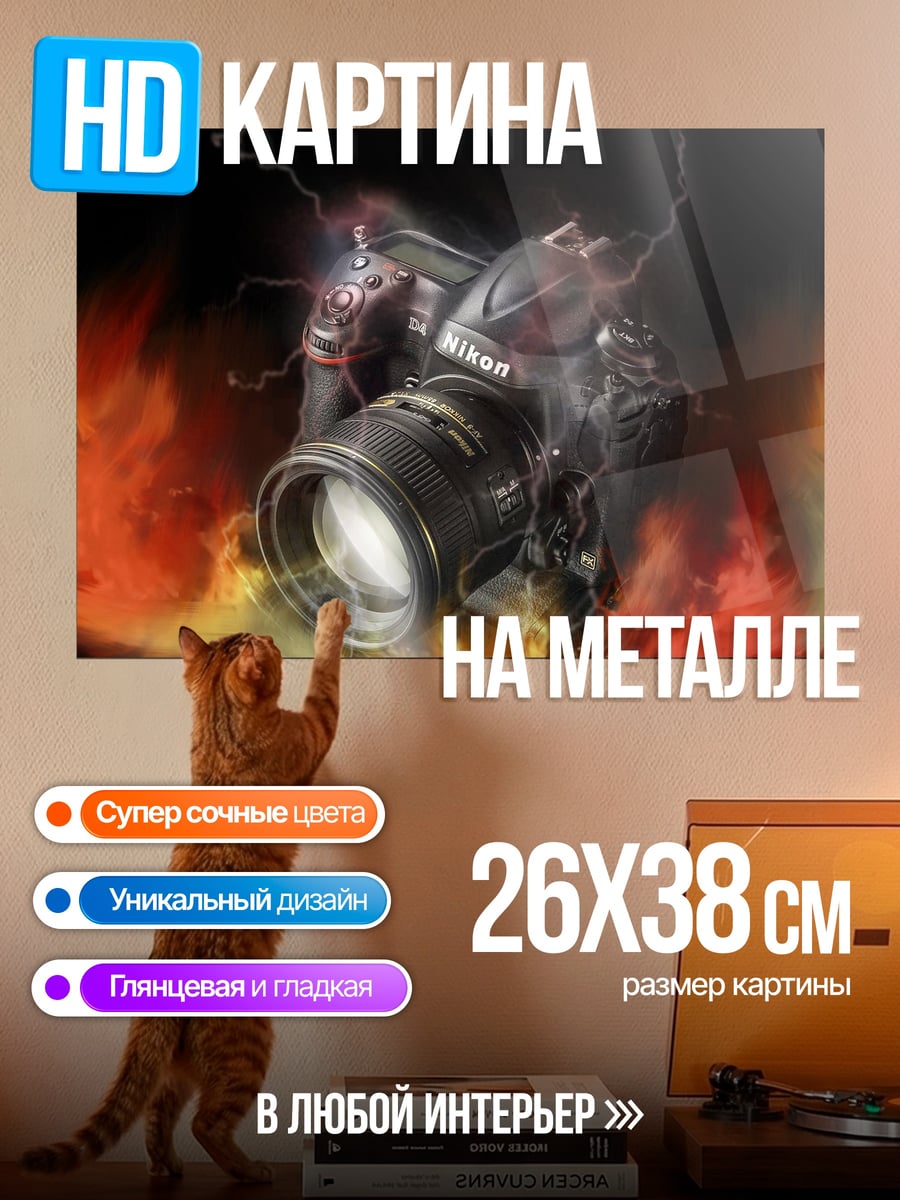 Картина на металле Камера в огне