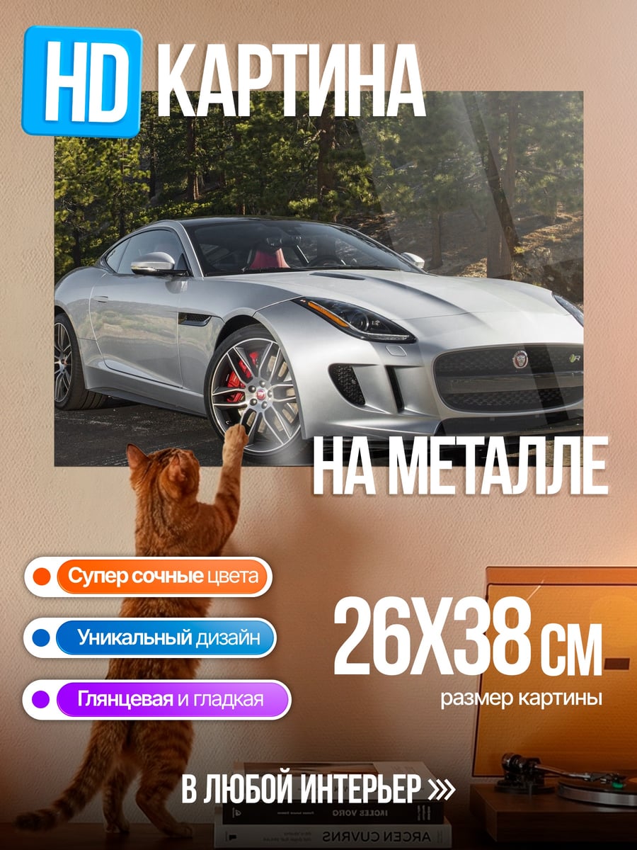 Картина на металле Серебристый спорткар