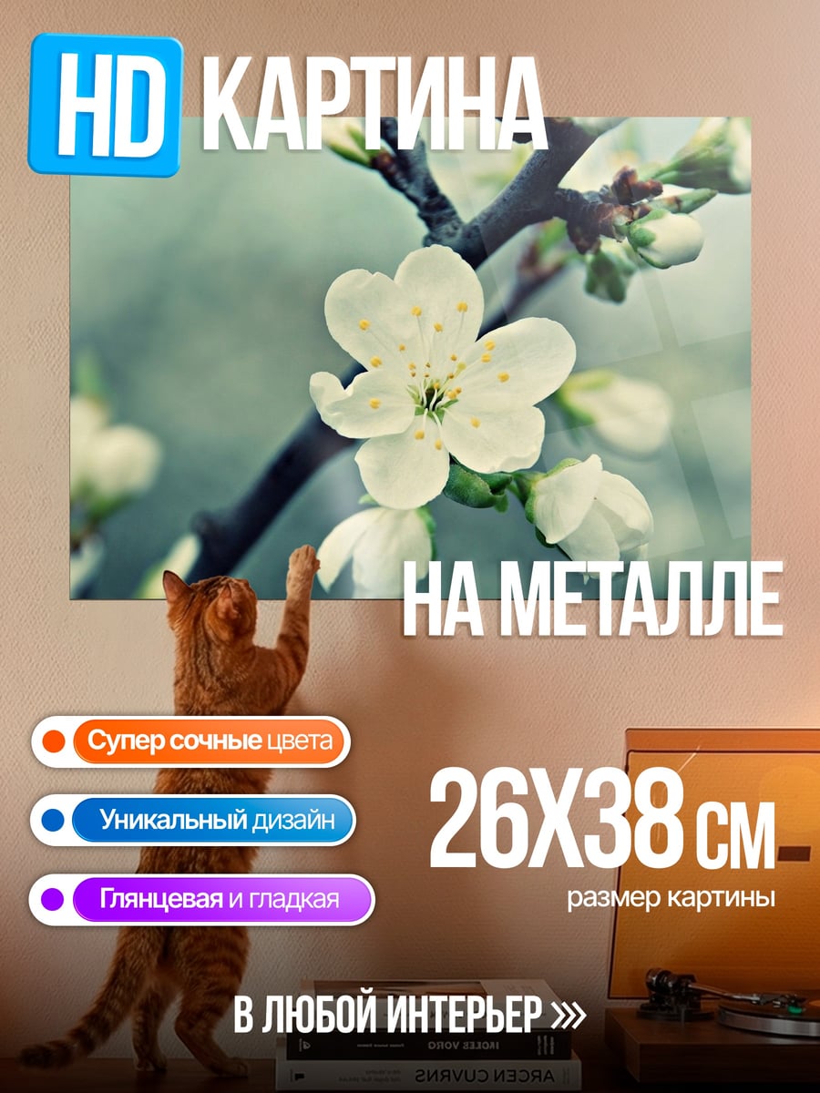 Картина на металле Цветущая вишня ветка