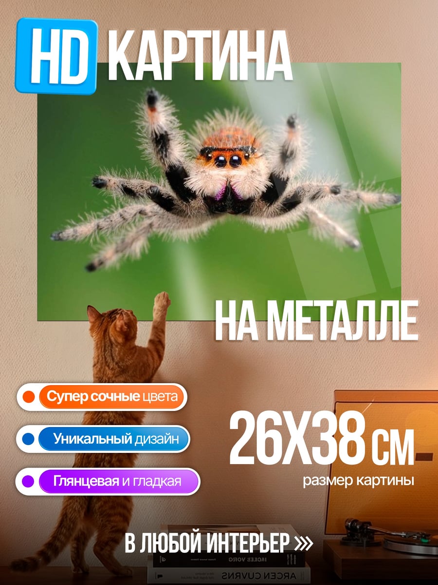 Картина на металле Паук прыгает