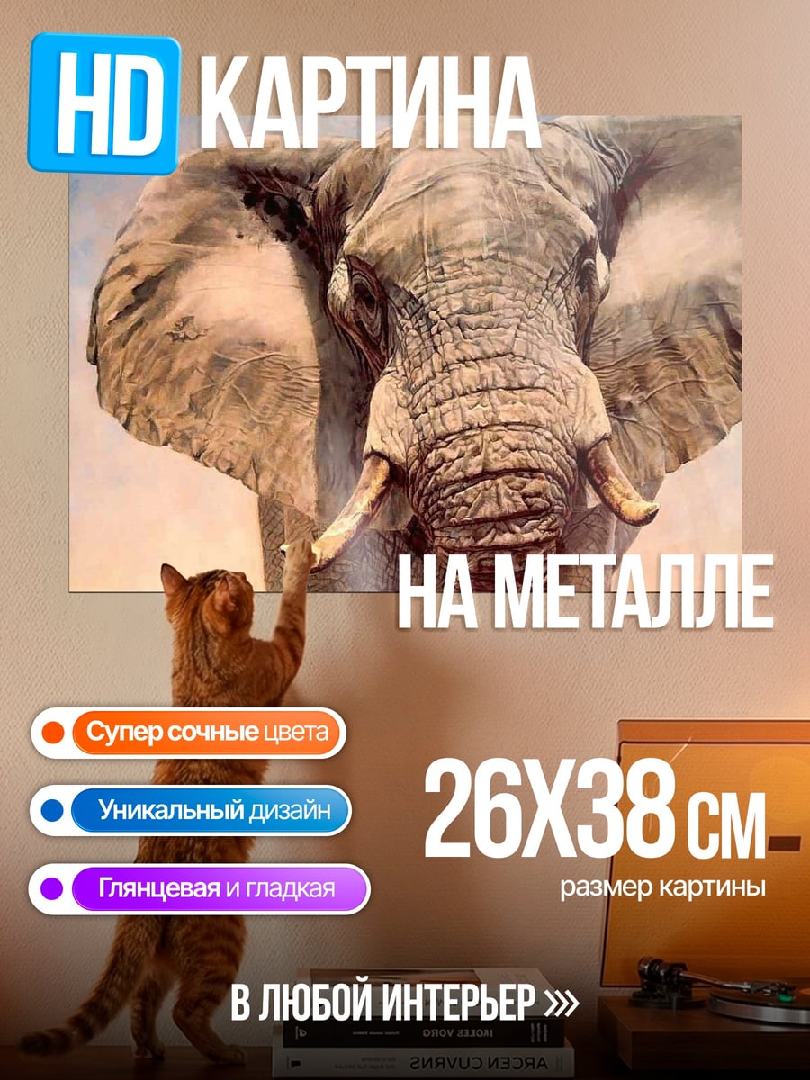 Картина на металле Портрет слона