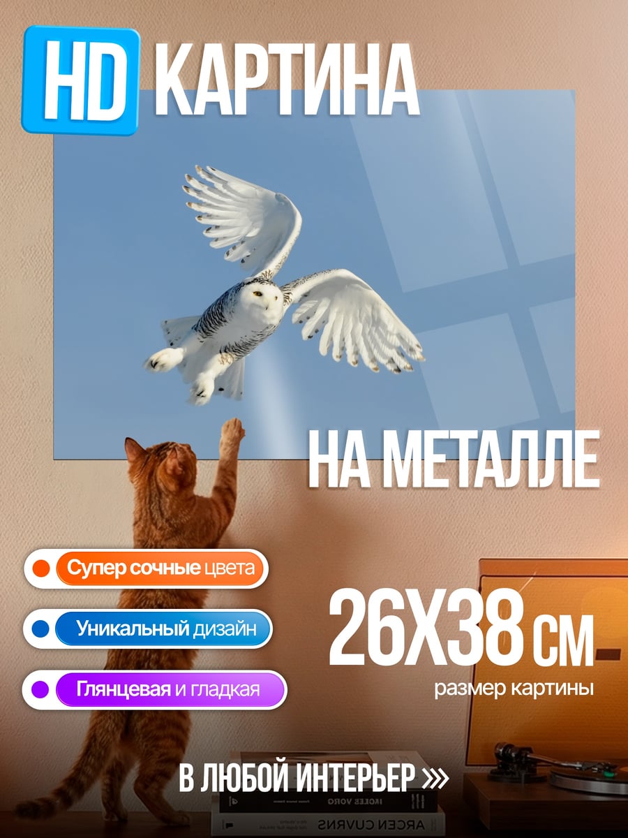 Картина на металле Белая сова в небе