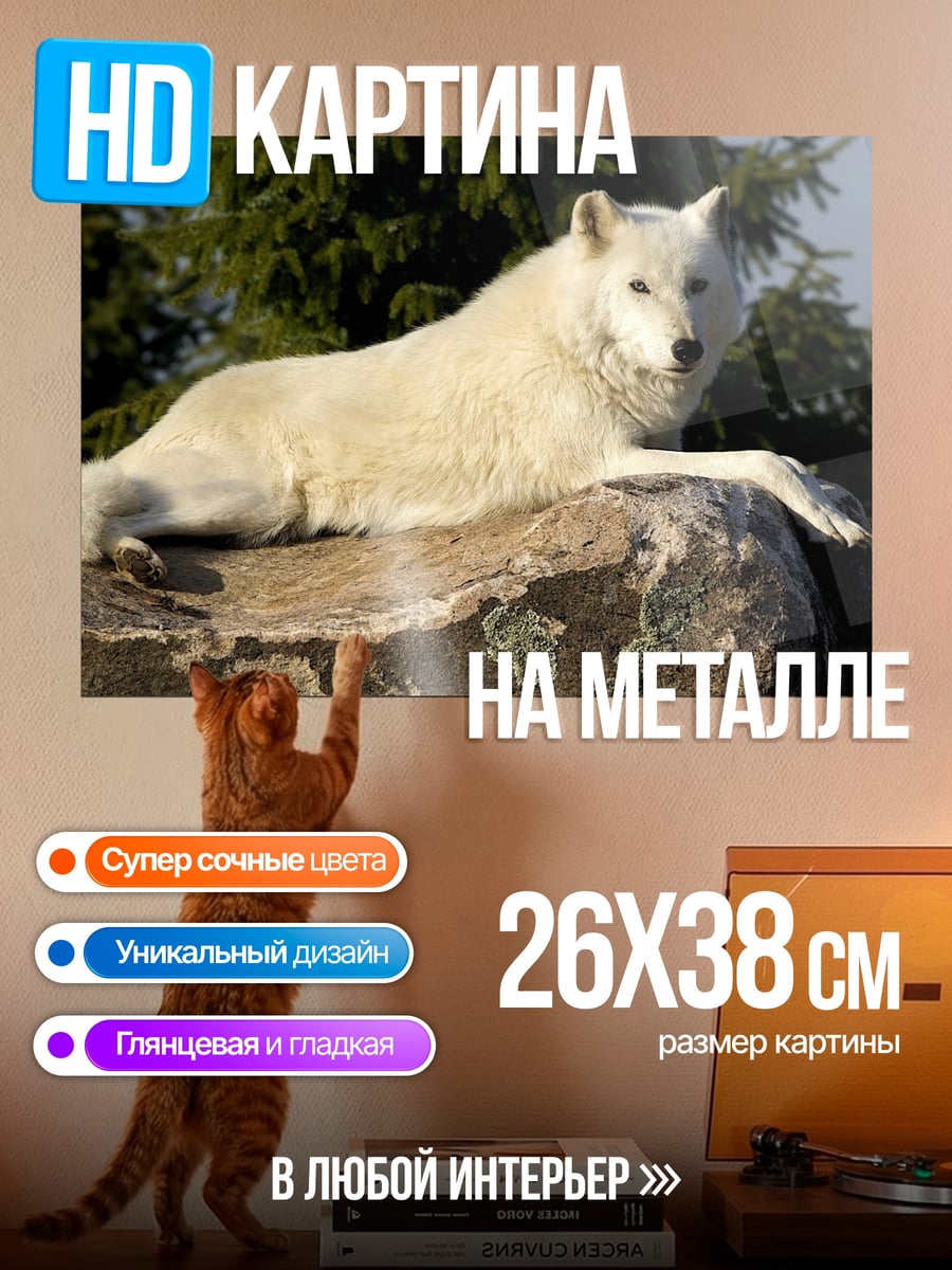 Картина на металле белый волк