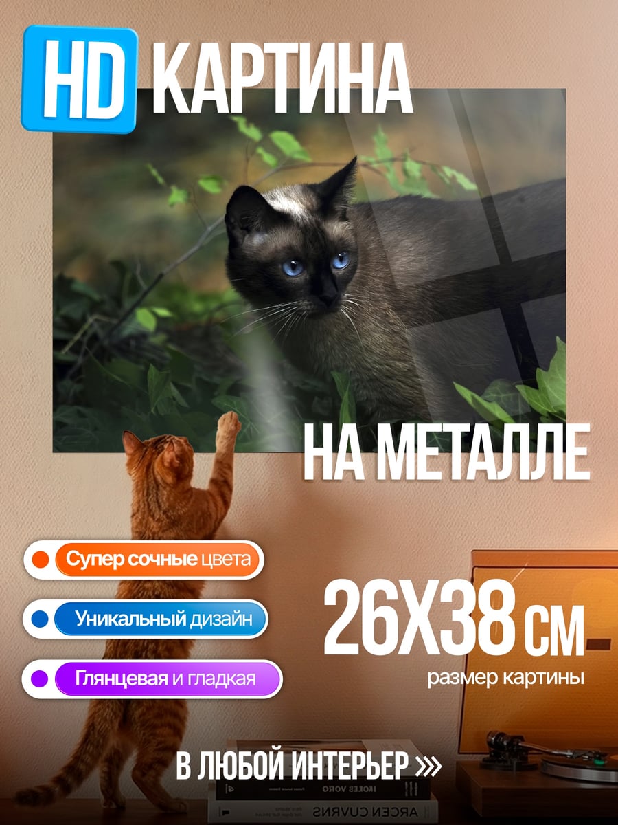 Картина на металле кот в зарослях
