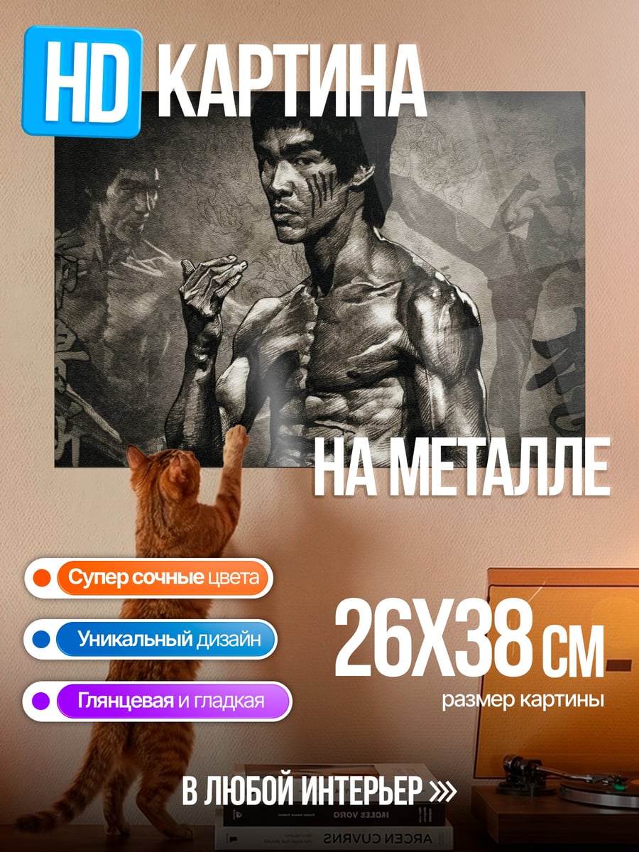 Картина на металле Брюс Ли