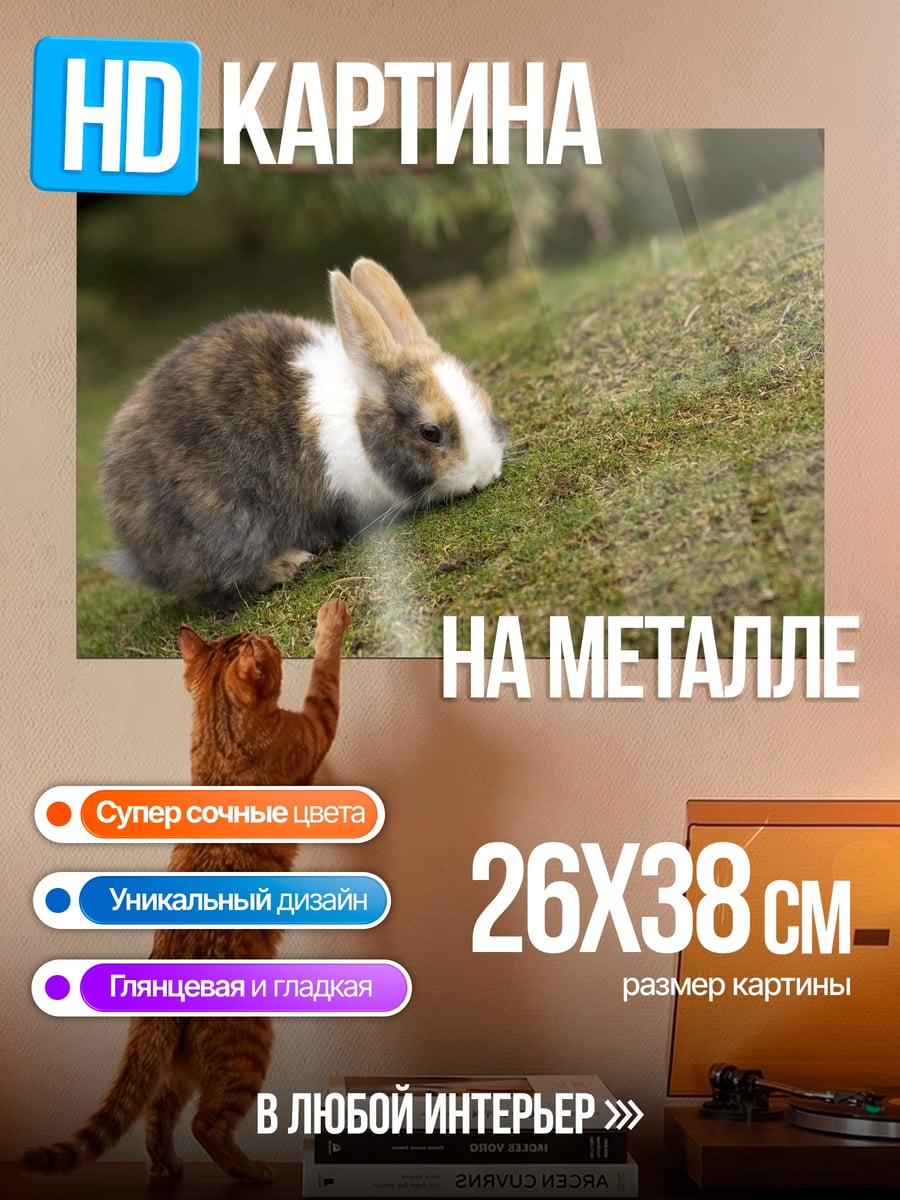 Картина на металле Кролик на лужайке
