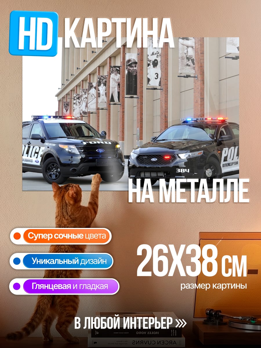 Картина на металле Полицейские машины