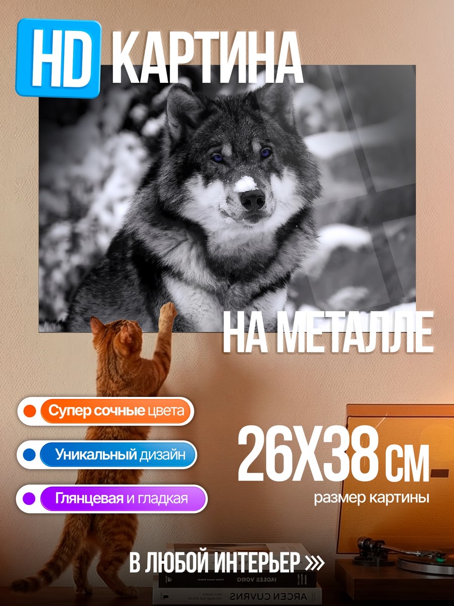 Картина на металле волк в снегу