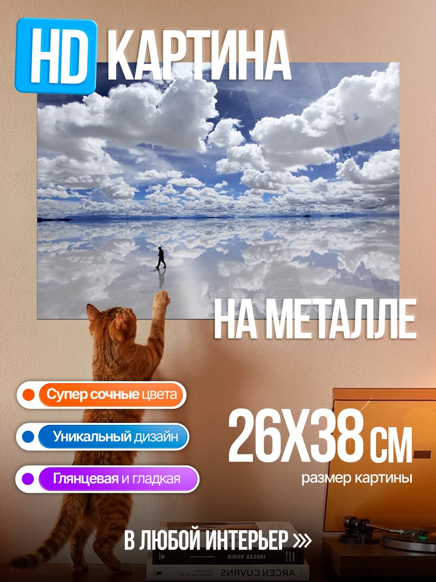 Картина на металле человек на солончаке