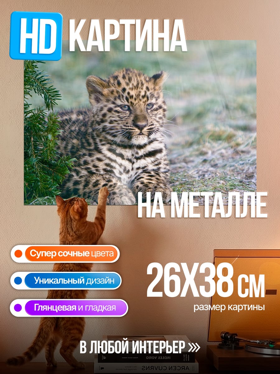Картина на металле Леопард отдыхает на траве