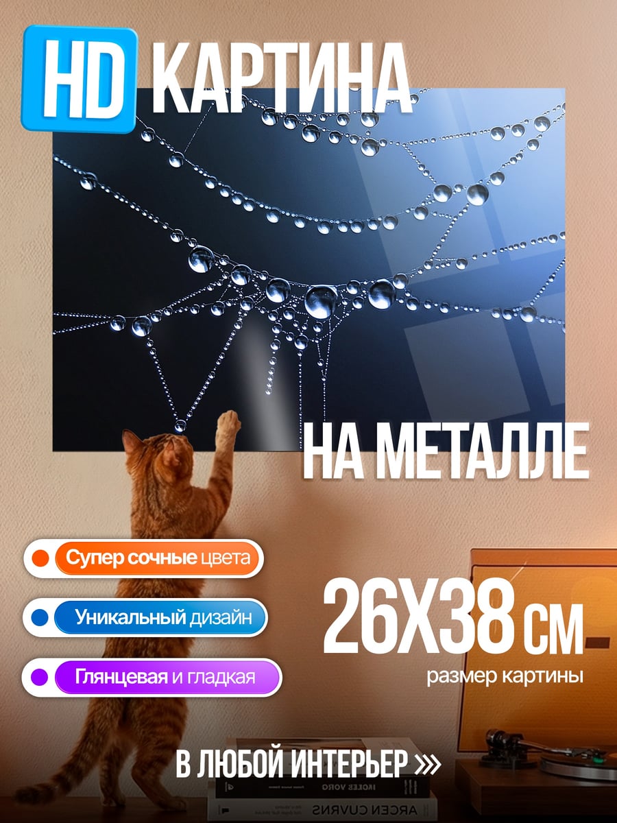 Картина на металле Капли на паутине