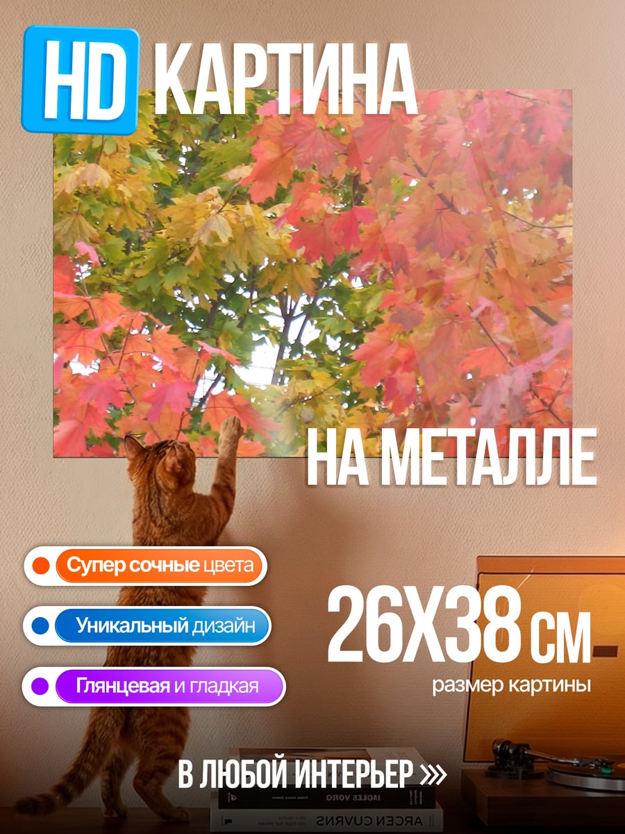 Картина на металле Осенние листья клен