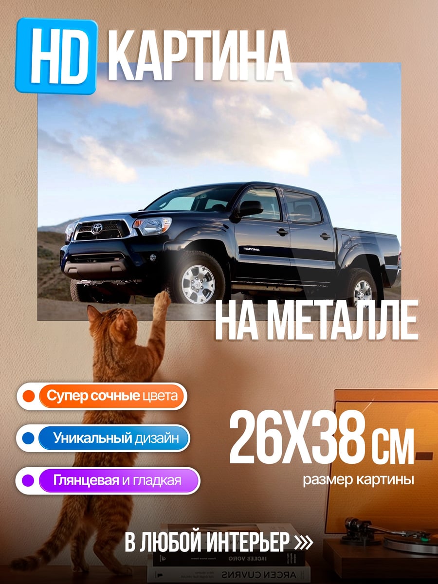 Картина на металле Пикап на природе