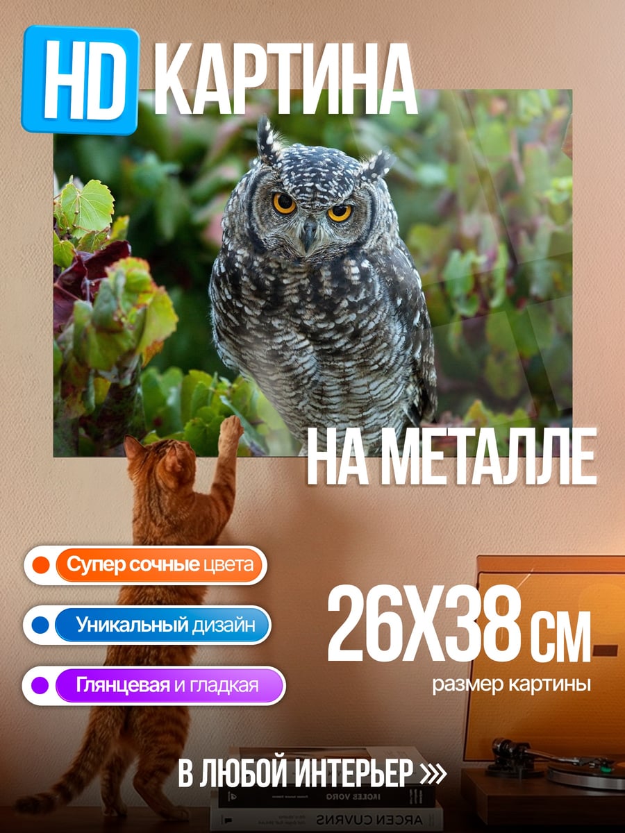 Картина на металле Сова на ветке