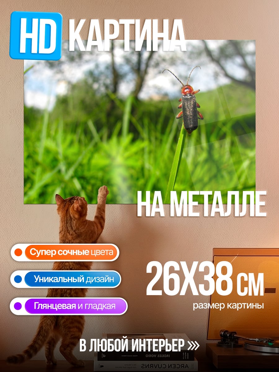 Картина на металле Жук на травинке