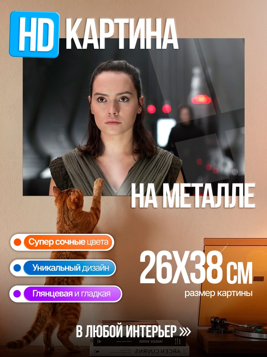 Картина на металле Рей из Звездных Войн
