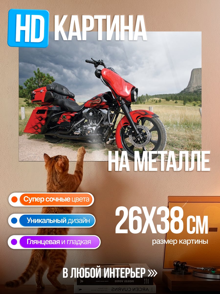 Картина на металле Красный мотоцикл
