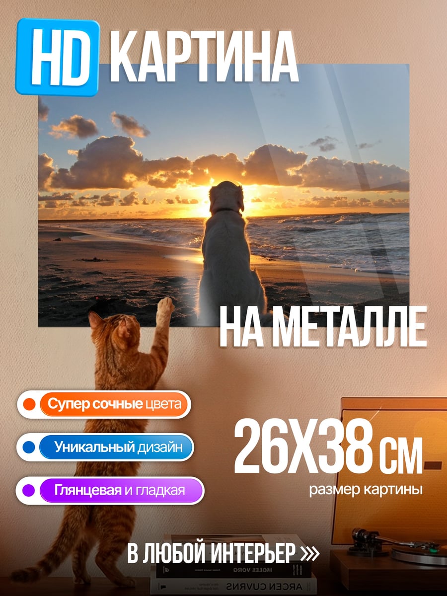 Картина на металле Собака на закате