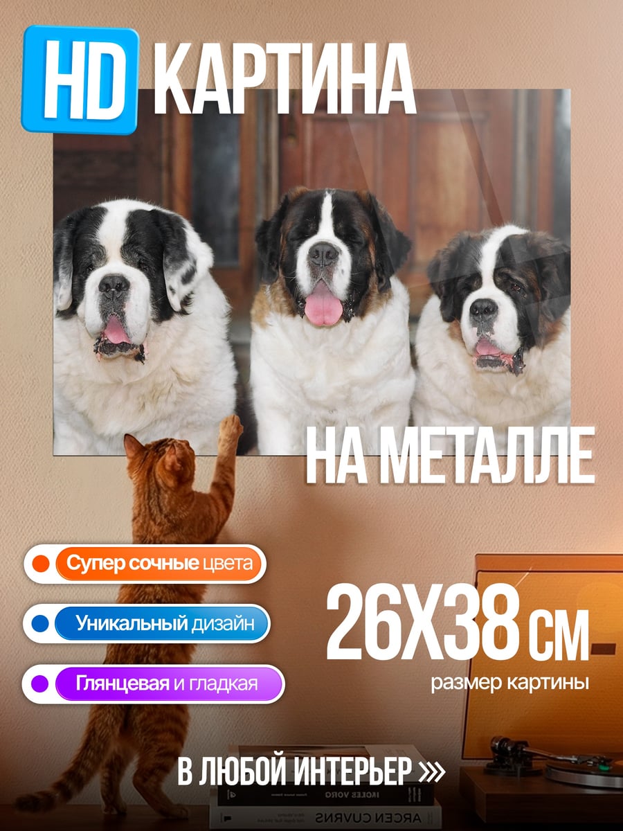 Картина на металле Три сенбернара